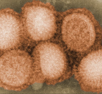 Influenza A (H3N2) Panel 20/182