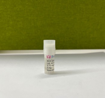 睪酮單克隆抗體 Testosterone antibody