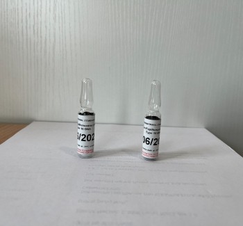 Human Papillomavirus (HPV) Type 16 DNA (1st International Standard) 06/202