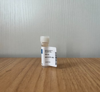 Streptavidin Poly-HRP80 Conjugate, 1mg/ml aqueous solution65R-S105PHRP