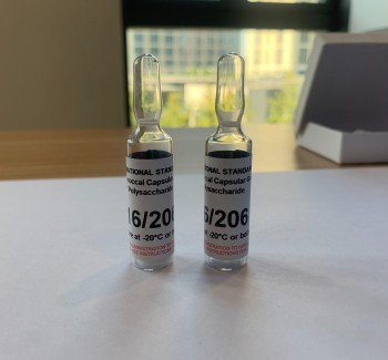 Meningococcal serogroup Y Polysaccharide 16/206