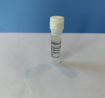 Sheep Monoclonal Antibodies (SMAs) to testosterone  (testo) testo3.6A3