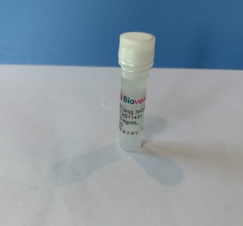 sheep monoclonal antibody to progesterone prog.3H3
