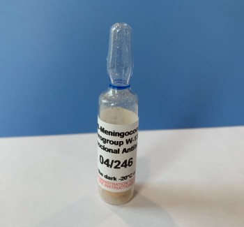 Anti-Meningococcal Serogroup W-135 mAb 04/246