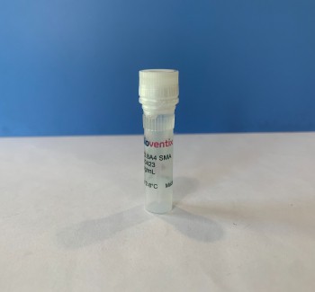 Sheep Monoclonal Antibodies (SMAs) to Estriol (E3)  E3.8A4