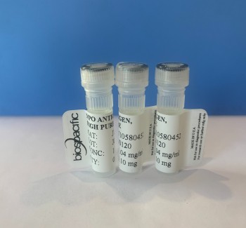 Myeloperoxidase (MPO) Antigen, High Purity J10580452