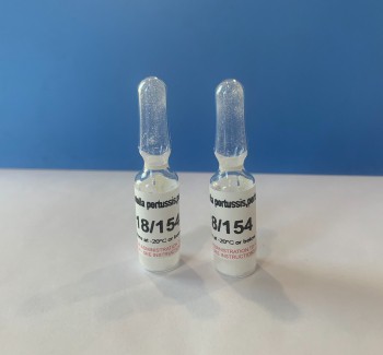 Bordetella pertussis, pertactin, PRN 18/154
