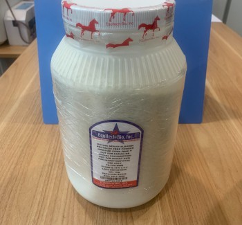 Bovine Serum Albumin Powder,BAH65