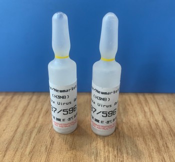 Influenza Antigen A/Equine/Newmarket/1/93 97/596