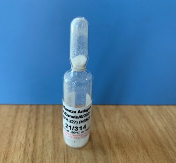 Influenza Antigen A/Darwin/6/2021 (IVR-227) (H3N2) 21/314